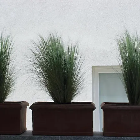 Lavalehouse Hébergement de vacances Marina di Campo